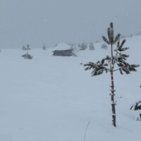 Foto: www.zlatibor.org.rs