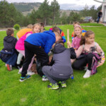 Foto: JP Gold gondola